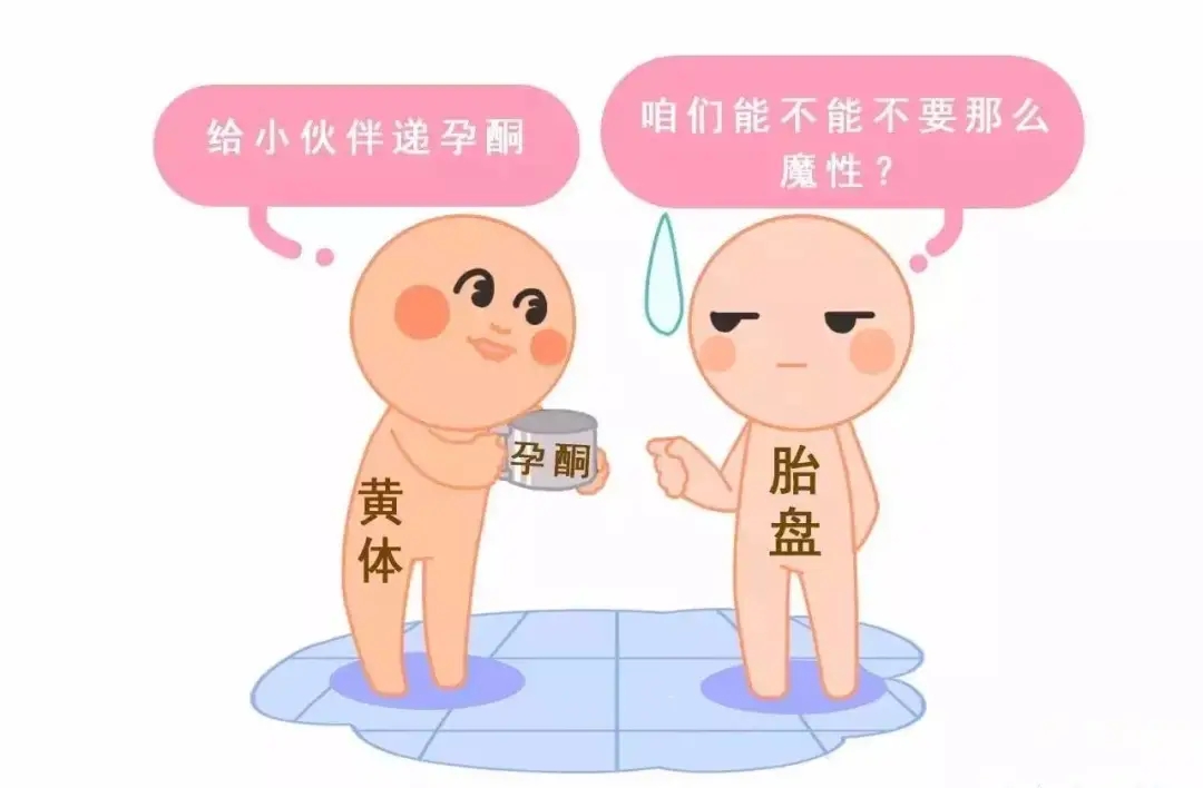 HCG和孕酮低一定會(huì)流產(chǎn)？備孕女性必須知道的孕早期“秘密”